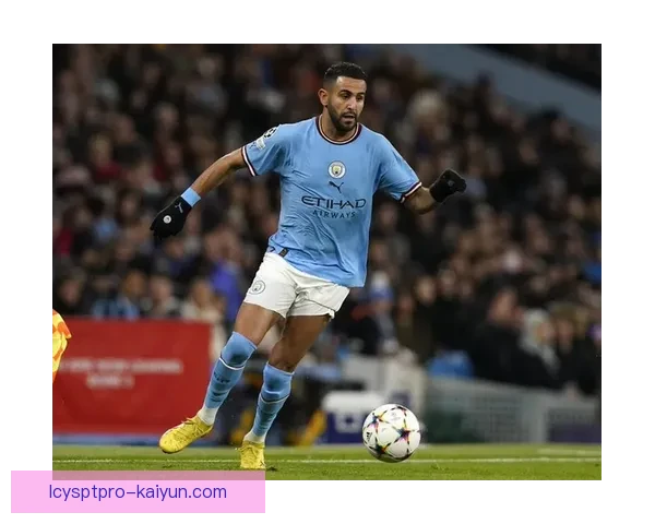 马赫雷斯技术全面性